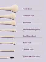 Pro Core Brush kit